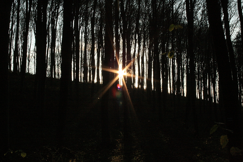Rostoczek 11.2008 304